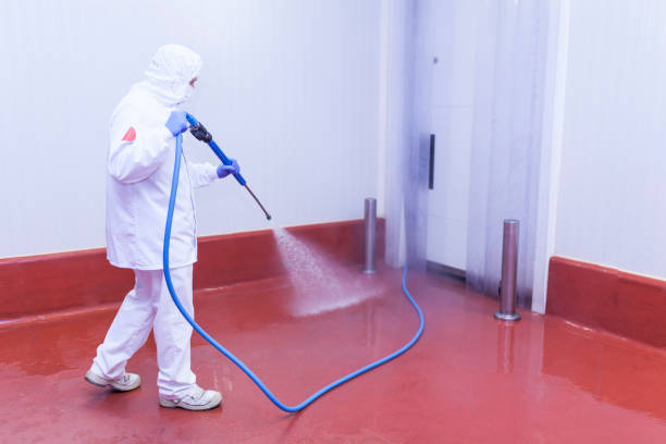 Best Playground Equipment Cleaning  in Lewistown, MT